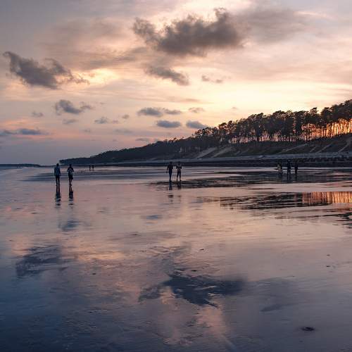 Photo #6140280