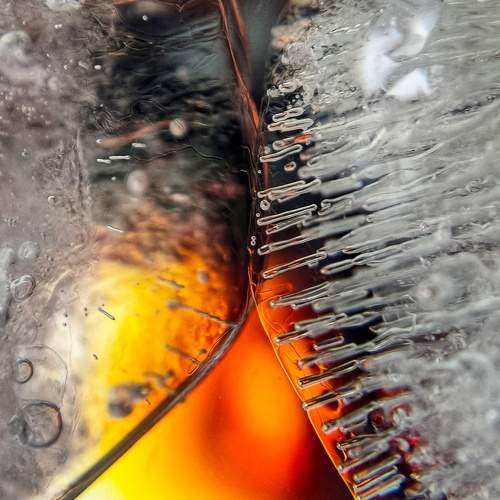 Photo #6140309