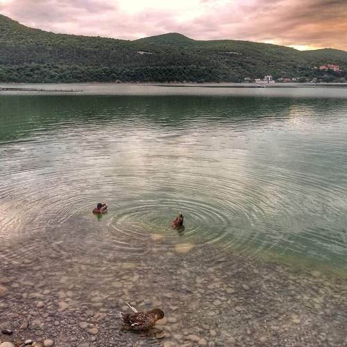 Photo #6140366