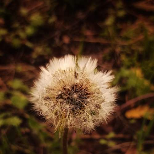 Photo #6140476