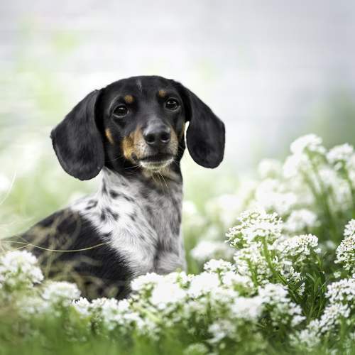 Фотография #6140559