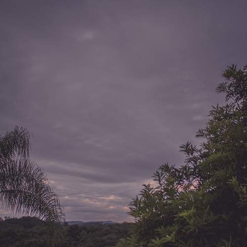 Photo #6140794
