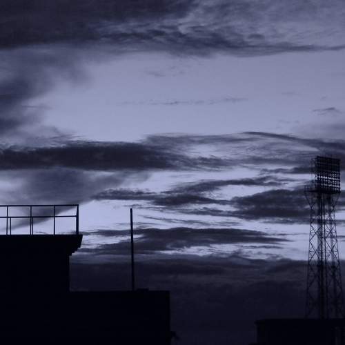 Photo #6141005