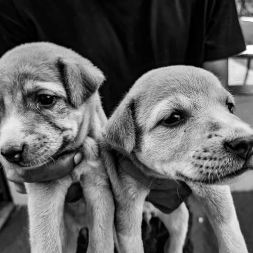 Photo #6141203