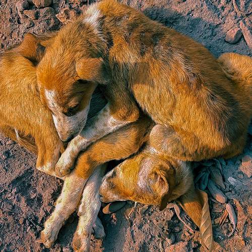 Photo #6141205