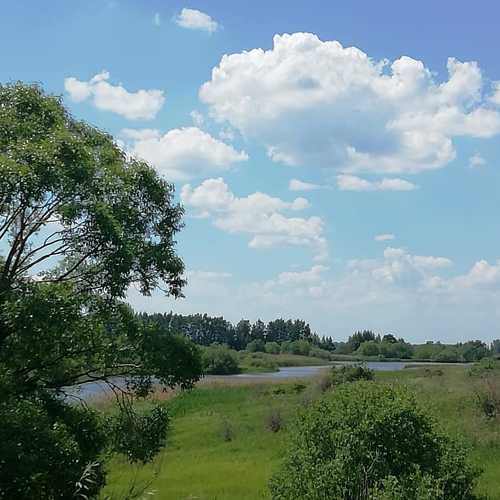 Photo #6141412
