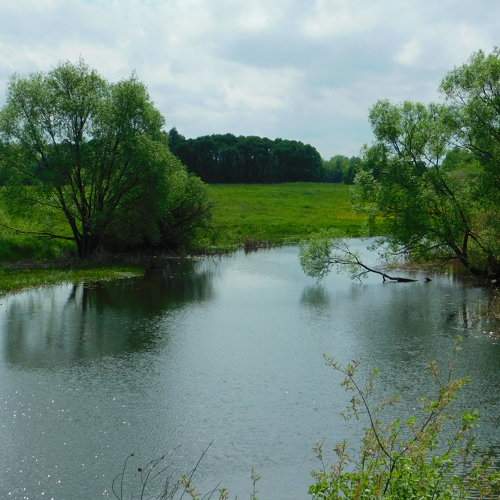 Photo #6141413