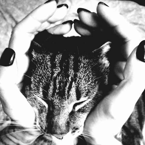 Photo #6141481