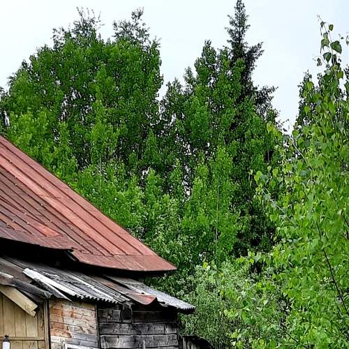 Photo #6142000