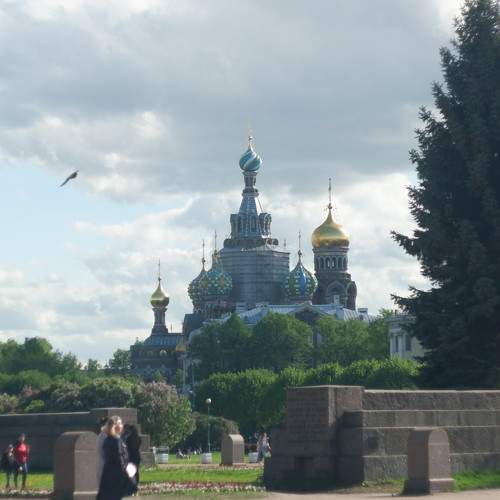 Photo #6142076