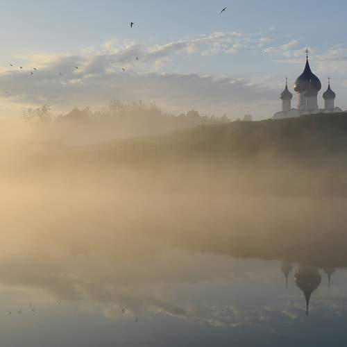 Photo #6142322