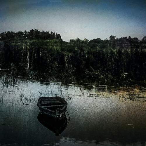 Photo #6142444