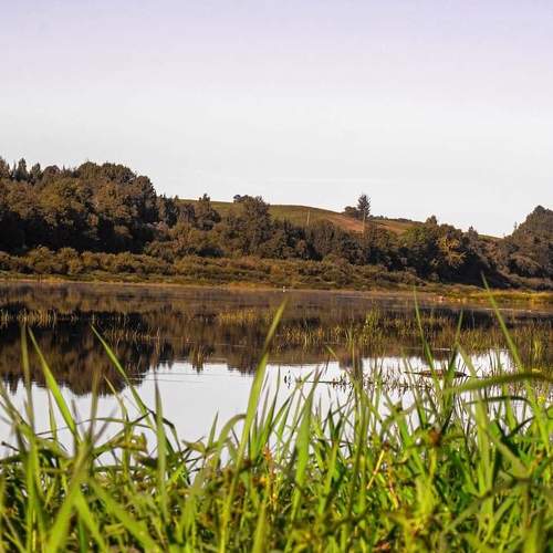 Photo #6142452