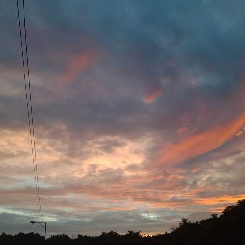 Photo #6142571