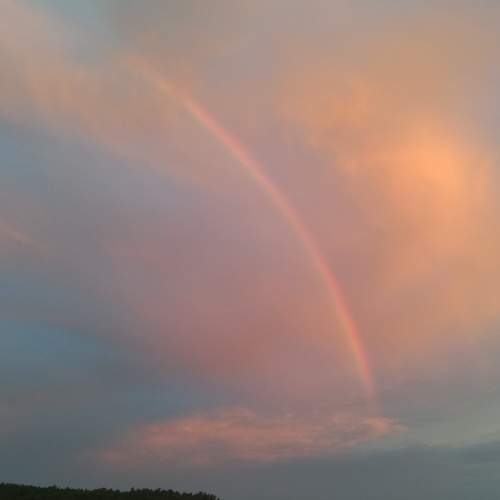 Photo #6142573