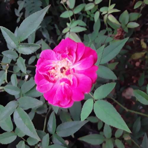 Photo #6142608