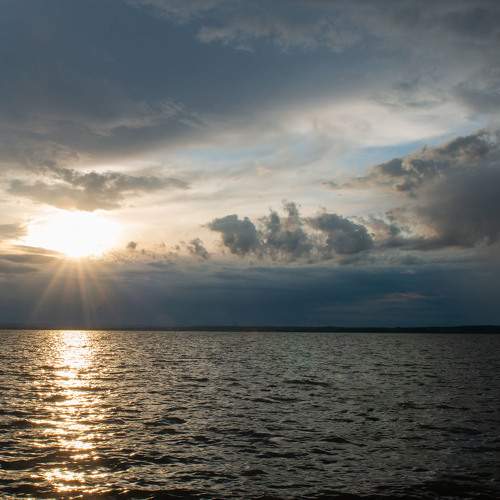 Photo #6142619