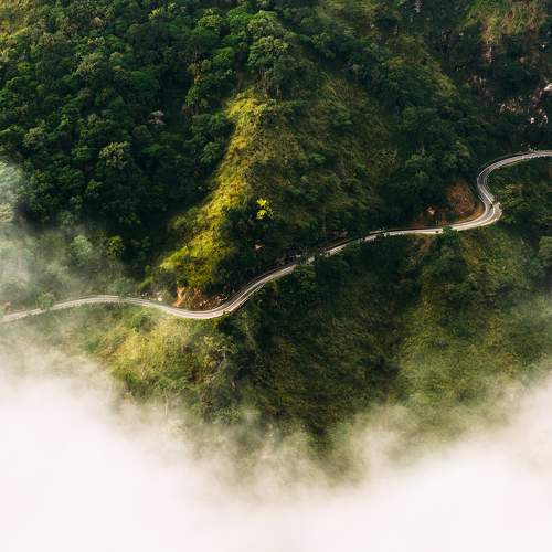 Photo #6143162