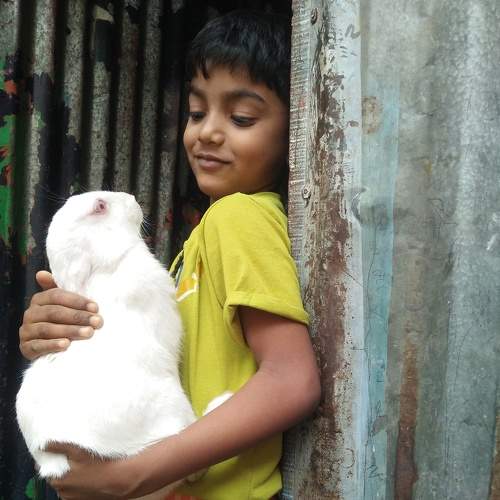 Photo #6143249