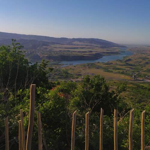 Photo #6143850