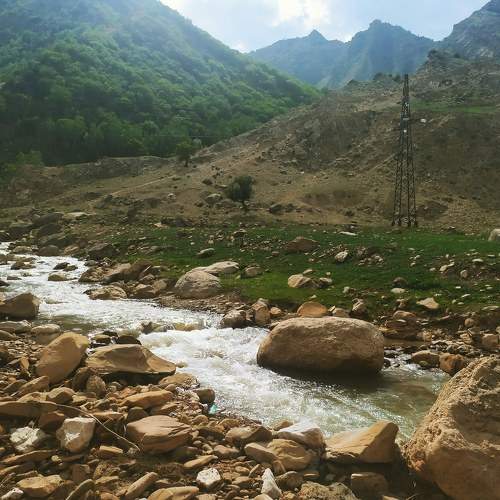 Photo #6143867