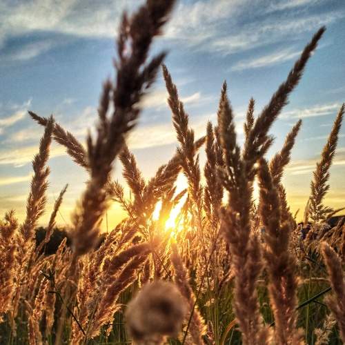 Photo #6144252