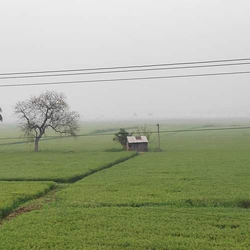 Photo #6144312