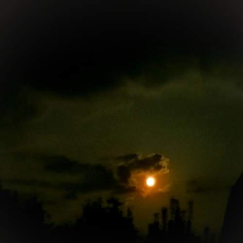 Photo #6144403