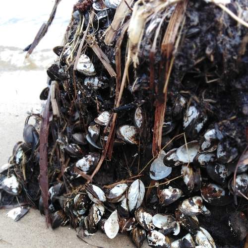 Photo #6144412