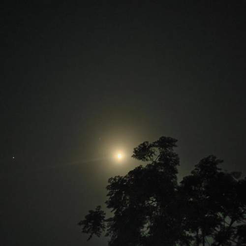 Photo #6144461