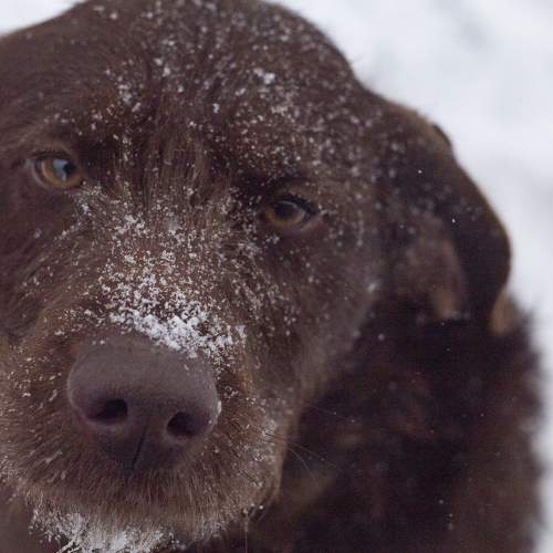 Photo #6144703