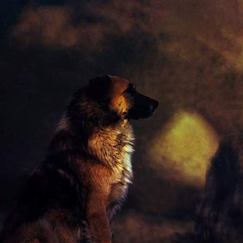Photo #6144744