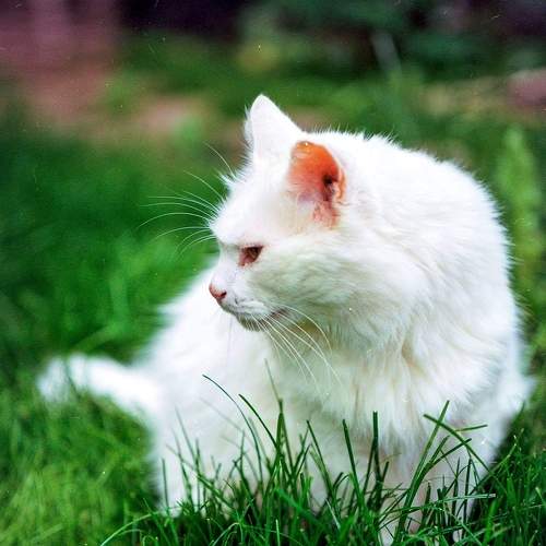Photo #6144745