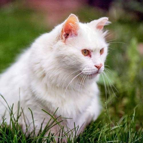 Photo #6144746