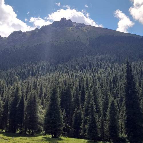 Photo #6144979
