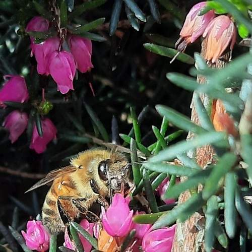 Photo #6145104