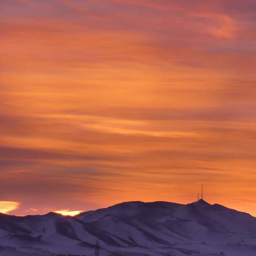 Photo #6145108