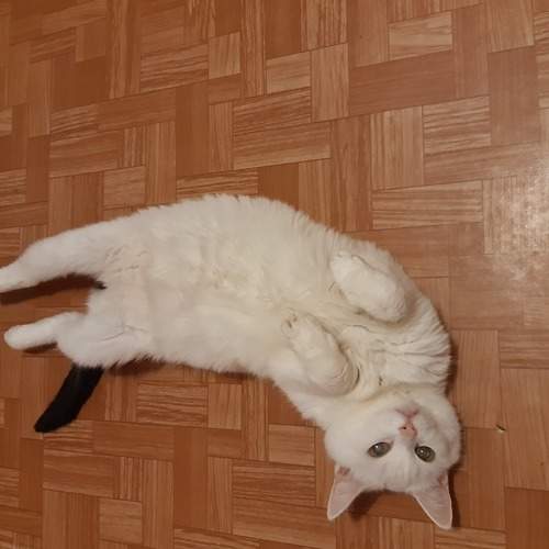 Photo #6145186