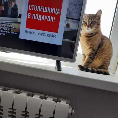 Photo #6145199