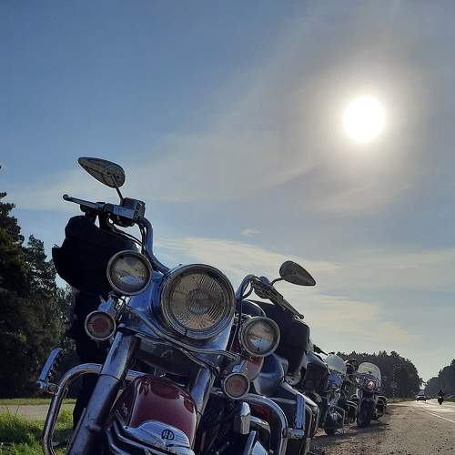 Photo #6145219