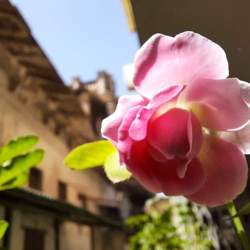 Photo #6145815
