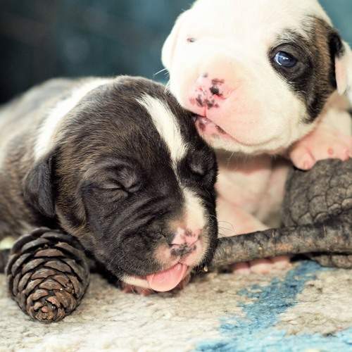 Photo #6145917