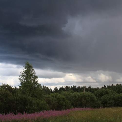 Photo #6145952