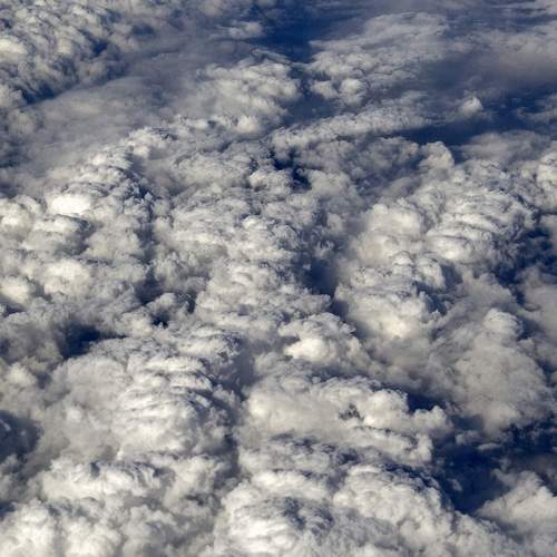 Photo #6146148