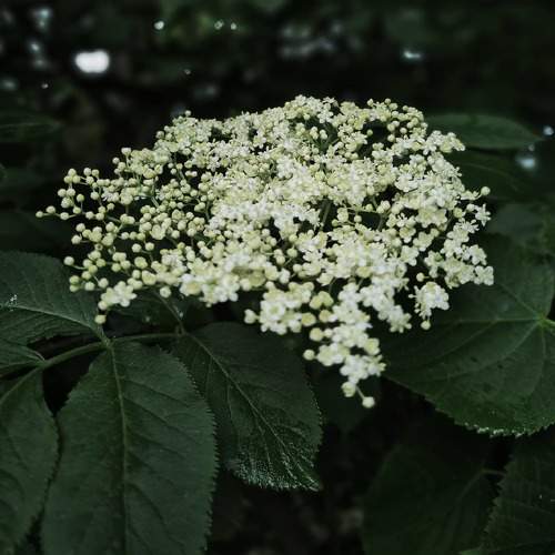Photo #6146275