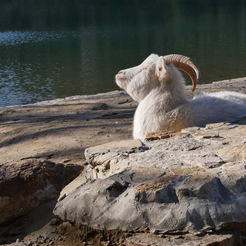 Photo #6146342