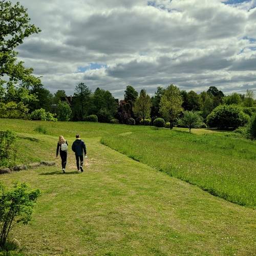 Photo #6146514