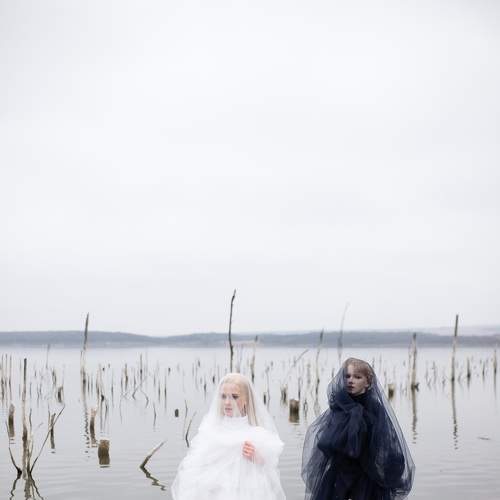 Swan Lake