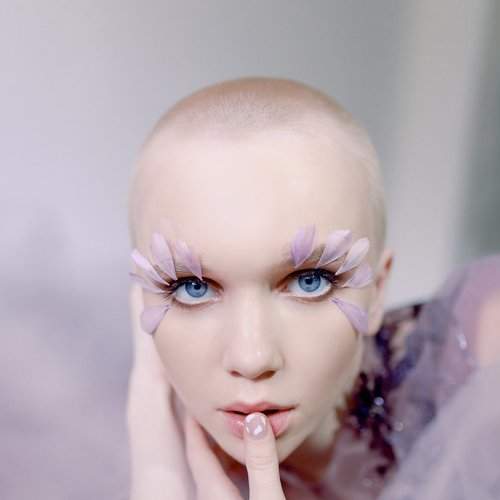 Wild Orchid