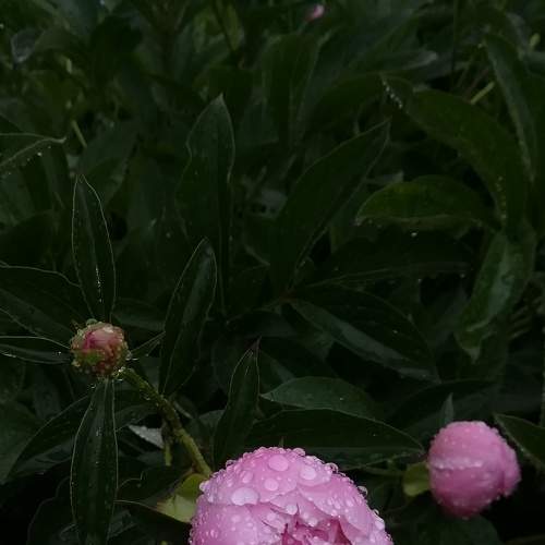 Photo #6147248